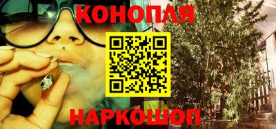 шишки Рыбинск