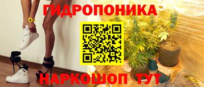 шишки Рыбинск