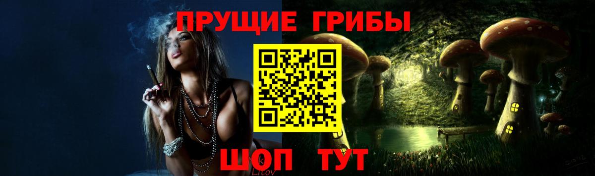 Псилоцибиновые грибы мицелий  Вход с VPN  Прокопьевск 